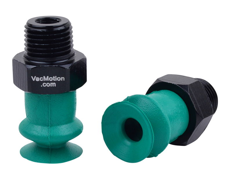 SB14-VIT-18M